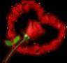 love+fleure